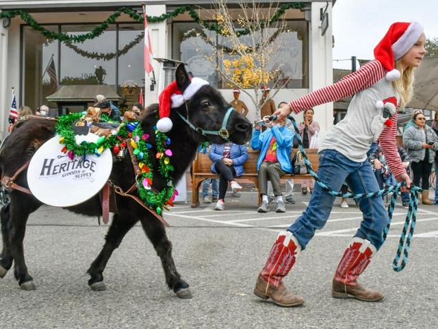 NOVI FrancoXmasParade3