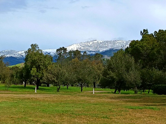 NOVI Snow1
