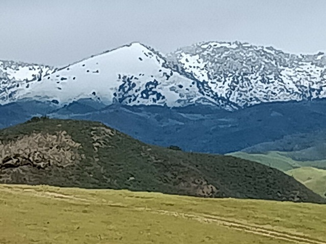 NOVI Snow3